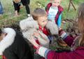Magia Nocy Świętojańskiej - Chruściele