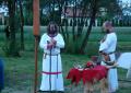 Magia Nocy Świętojańskiej - Chruściele