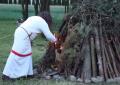 Magia Nocy Świętojańskiej - Chruściele